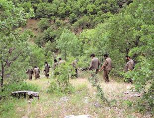 Support for Kurdish bid on rise: Ruling AKP poll