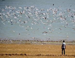 Ministry opens migratory birds’ haven to hunting, National Parks Directorate has last word