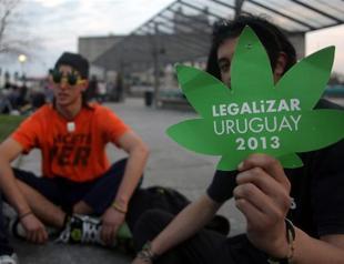 Uruguay’s lower house approves legal regulated marijuana
