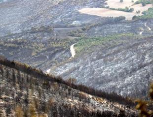Balıkesir forests in ashes after fire in northwestern Turkey