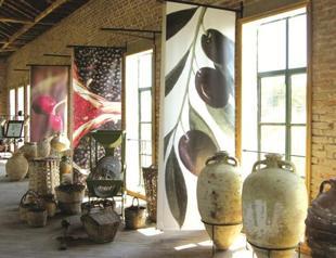 Museum whets appetite of locals, visitors in northwest