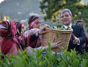 President Gül calls on Gezi protesters to go home