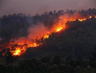 Forest blazes hit Turkey’s west