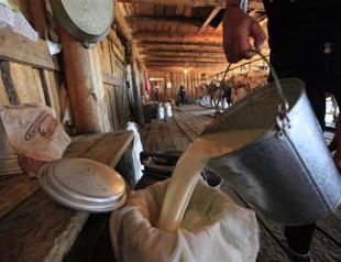 Crying over Mongolian spilt milk