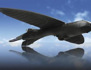 Iran to teach drone-hunting to school students