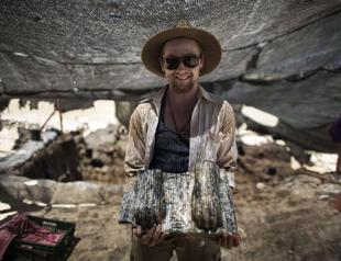 Unique Egyptian sphinx unearthed in north Israel