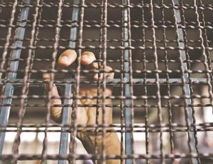 Anti-Muslim riots haunt shattered Myanmar city as fear continues