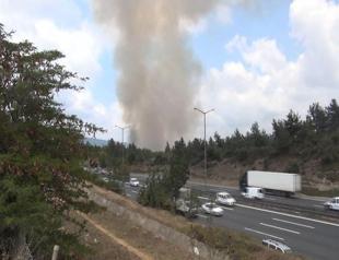 Second fire in two days in Istanbul woodland, near FSM bridge