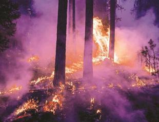 US fire expected to burn deeper into park