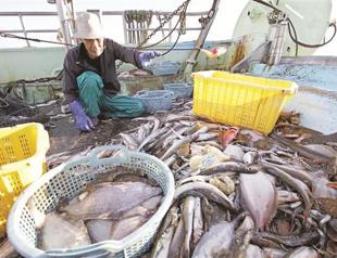 Sout Korea bans more Japan fishery products from near Fukushima on eve of Olympic decision