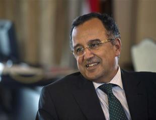 Egypt has no intention of waging Syria jihad: Foreign minister
