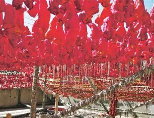 Bone-dry freshness: Dried vegetables
