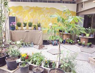 Ecologic life to be questioned