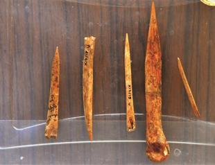 Ancient hippopotamus teeth found in Antalya