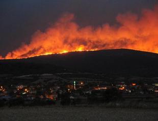 Fire hits forest northwestern province of Balıkesir