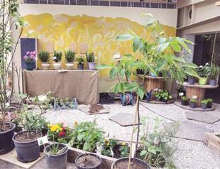 Ecological living workshop at Salt