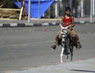 Egyptian arrested for naming donkey after General al-Sisi