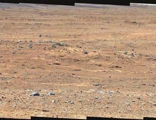 NASA Mars rover finds no sign of life