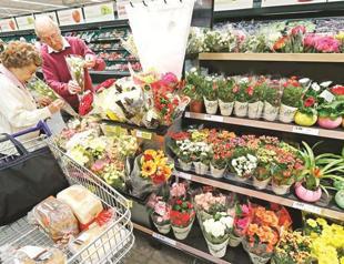 Tesco cuts presence in China