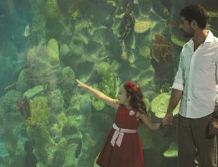 Singing their songs from the screen