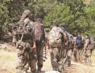 NGO calls on Turkish government to continue reforms for peace process