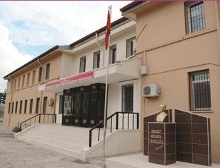 Council of Europe anti-torture Committee remarks on ill-treating of juveniles in Turkey