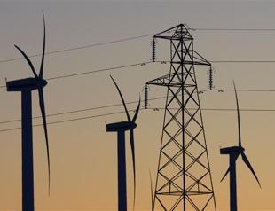 Bulgaria faces European Court of Justice over wind farm threat to birds