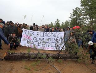 Protesters plant trees where Ankara municipality cut them down on ODTÜ land
