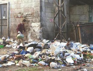 UNFAO expects 1 million ton food shortage in Syria