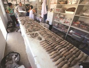 Unearthed Hittite artifacts in Istanbul break new ground