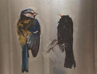 Preview in CDA Projects