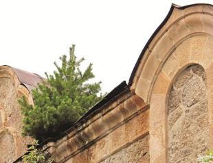 Pine tree grows on neglected church rooftop