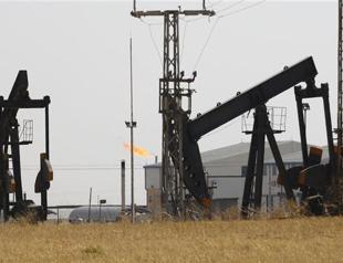 Turkish firm finds oil in southeastern well