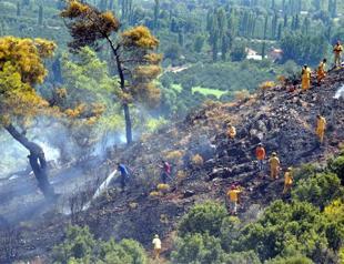 Forest fires continue to destroy green areas nationwide