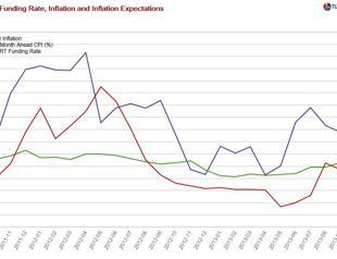The dove that pretended to be a hawk
