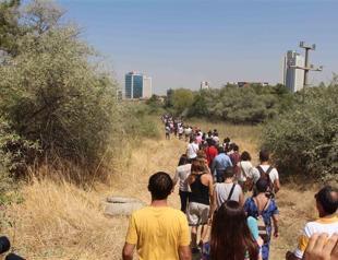 3,000 trees in Ankaras Middle East Technical University to be cut in road plan