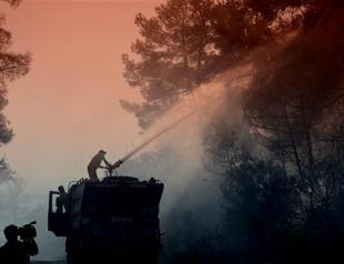 Blazes in Antalya reduce 100 hectares of forest to ashes