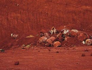 Exhibition revisits myths