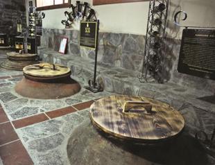 Ancient techniques produce pure olive oil