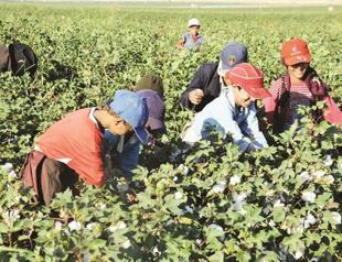 Main opposition CHP seeks inquiry into child abuse, smuggling