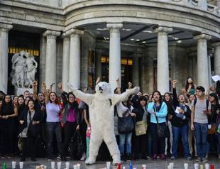 Russian court releases Greenpeace ship doctor on bail: Greenpeace