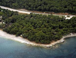 Turkish General Staff mobilized for planting of millions of trees