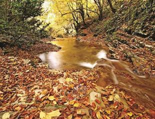 Waterfalls discovered in dam construction