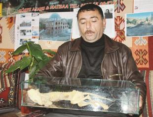 Animal fossil found in mosque grounds