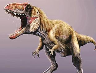 Killer dinosaur found in Utah