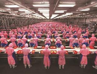 Screening: Manufactured Landscapes