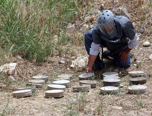 Over one million landmines remain undetected in Turkey: NGO