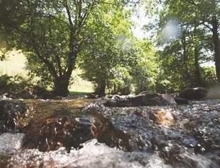 Turkish ‘dam nation’ could parch country