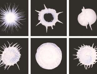 Photographs like a top layer of an archaeological dig