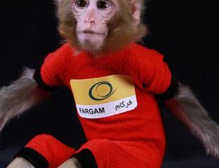 Iran sends second monkey into space
